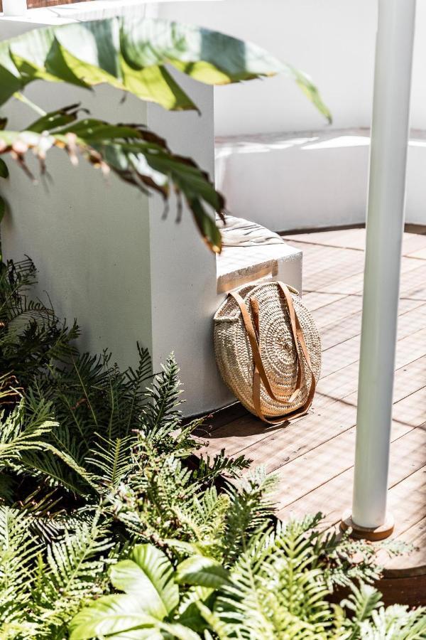 The Bungalows At Bondi シドニー エクステリア 写真